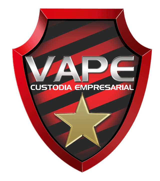 vapeseguridad.com logo